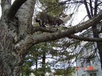 /album/fotogalerie/am-baum-2-jpg/